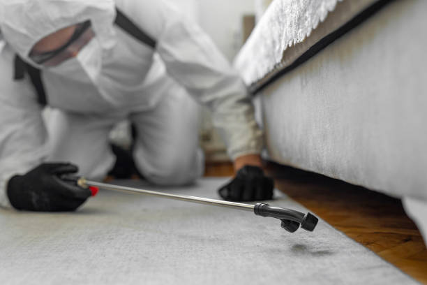 Professional Bed Bug Control technician working in Landis, NC